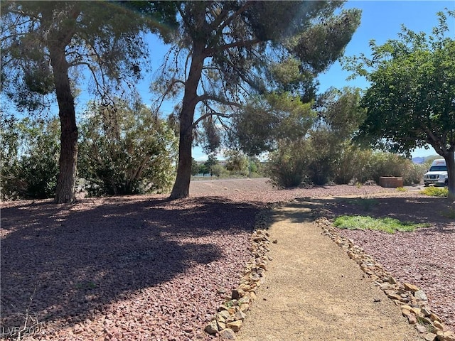139 E Van Wagenen St, Henderson, NV 89015 - photo 22