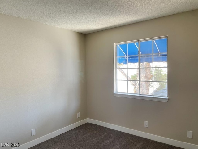 5385 Shake Ct Unit 203, Las Vegas, NV 89122 - spare room featuring dark colored carpet and a textured ceiling