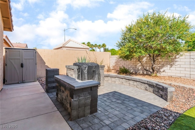 1442 Big Tree Ave, North Las Vegas, NV 89031 - fenced backyard featuring a patio and a storage unit