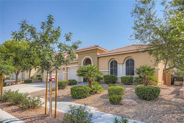 6536 Black Oaks St, North Las Vegas, NV 89084 - photo 6