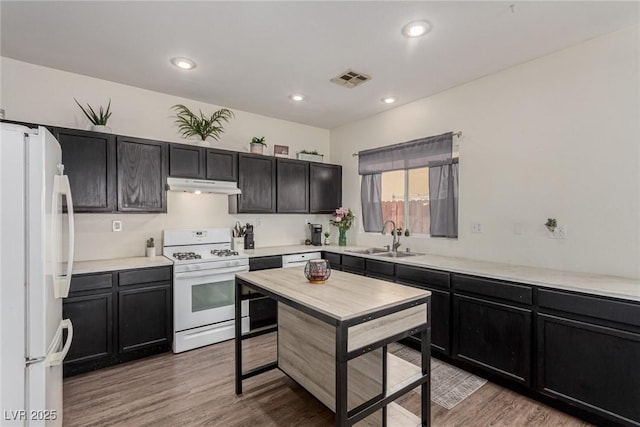 4622 English Lavender Ave, North Las Vegas, NV 89031 - photo 10