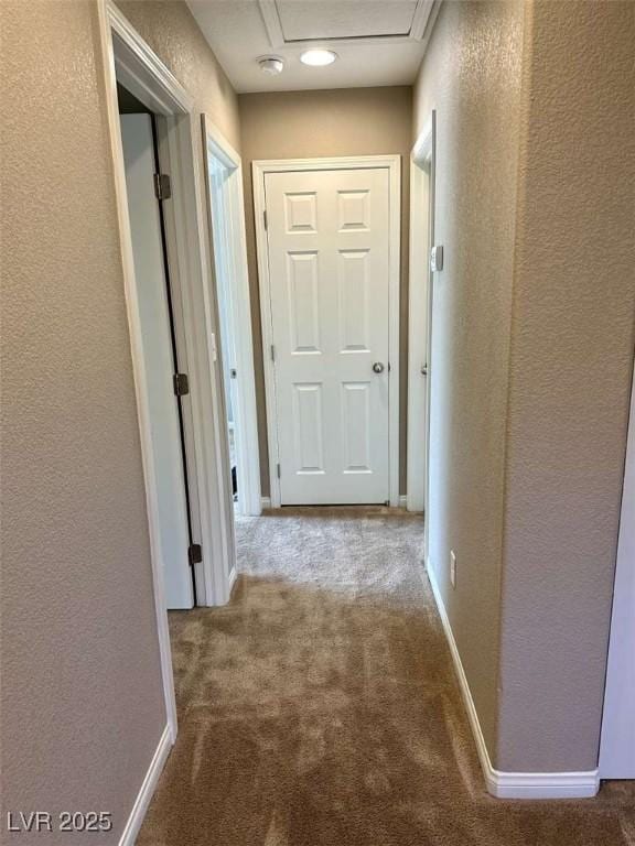 3952 Zodiacal Light St, Las Vegas, NV 89129 - photo 21
