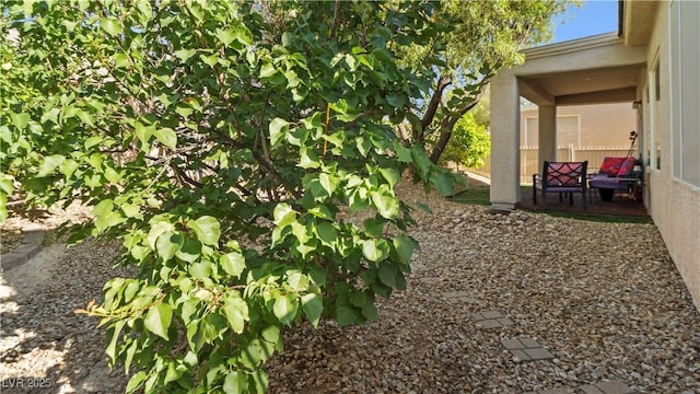 7723 Widewing Dr, North Las Vegas, NV 89084 - view of yard