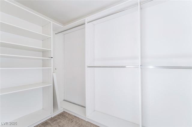 258 Horizon Pointe Cir, Henderson, NV 89012 - walk in closet with carpet floors