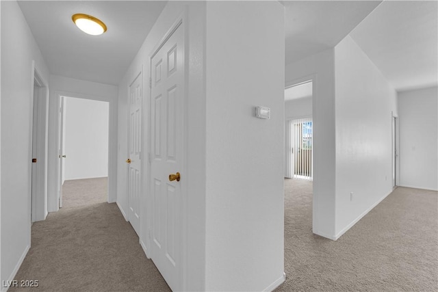 8501 W University Ave Unit 2053, Las Vegas, NV 89147 - hallway with carpet flooring and baseboards