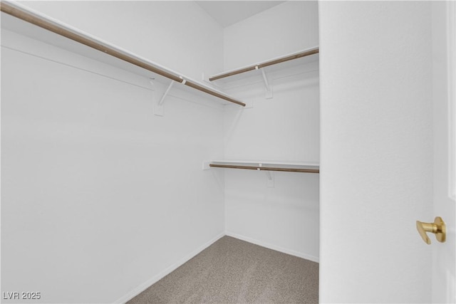 8501 W University Ave Unit 2053, Las Vegas, NV 89147 - walk in closet featuring carpet flooring