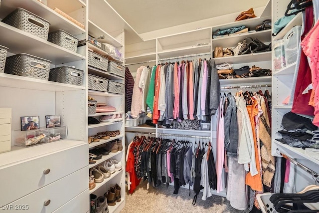 2458 Tour Edition Dr, Henderson, NV 89074 - view of spacious closet