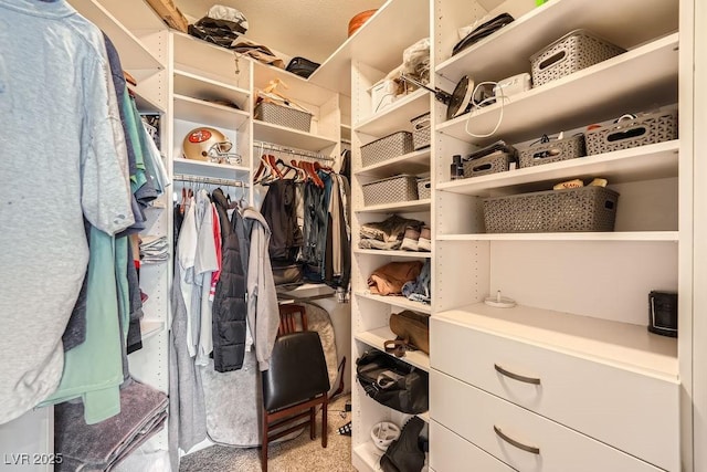 2458 Tour Edition Dr, Henderson, NV 89074 - view of spacious closet