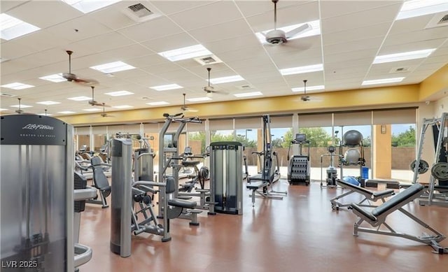 2425 Sky Watcher St, Henderson, NV 89044 - gym featuring ceiling fan and a paneled ceiling