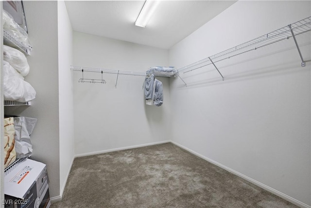 5554 Lushan St, Las Vegas, NV 89148 - photo 19