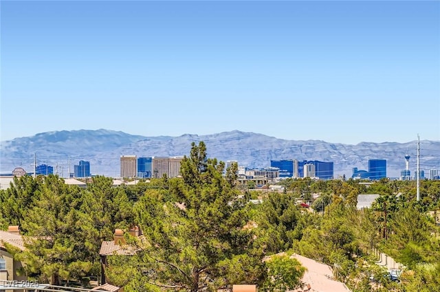 15 E Agate Ave Unit 503, Las Vegas, NV 89123 - photo 26
