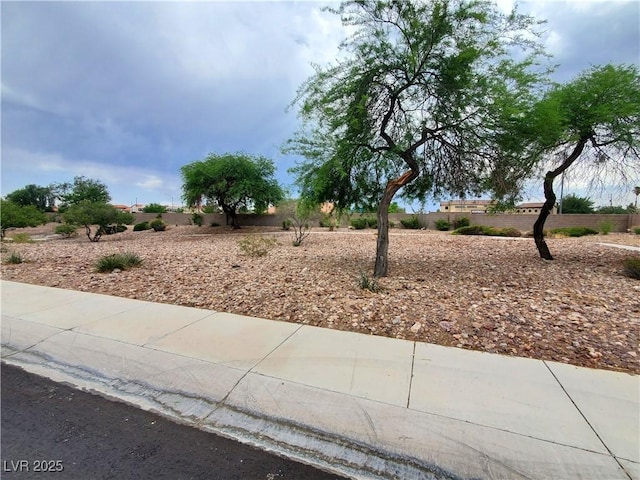 5104 Brookmere Dr, Las Vegas, NV 89130 - view of yard