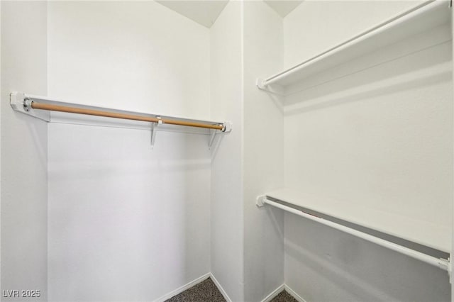 5434 Lost Ln, Las Vegas, NV 89118 - walk in closet with carpet