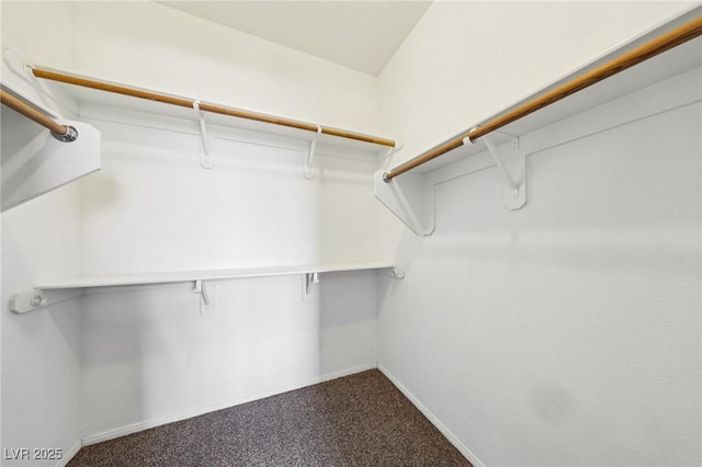 5434 Lost Ln, Las Vegas, NV 89118 - walk in closet with dark colored carpet