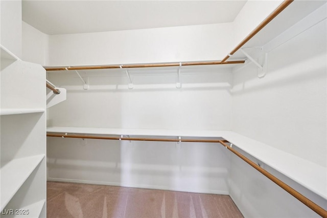 5434 Lost Ln, Las Vegas, NV 89118 - walk in closet with carpet