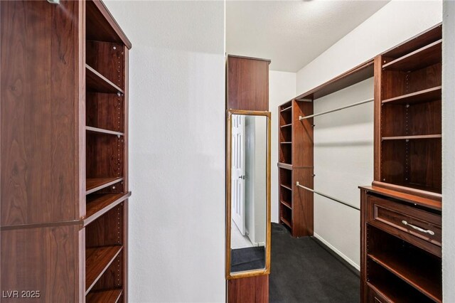 5434 Lost Ln, Las Vegas, NV 89118 - spacious closet with dark carpet