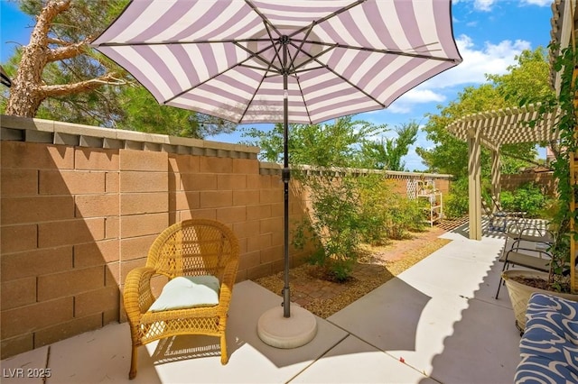 10372 Natural Springs Ave, Las Vegas, NV 89129 - fenced backyard with a patio area and a pergola