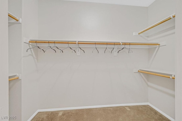 7558 Schuders Ave, Las Vegas, NV 89178 - walk in closet with carpet floors