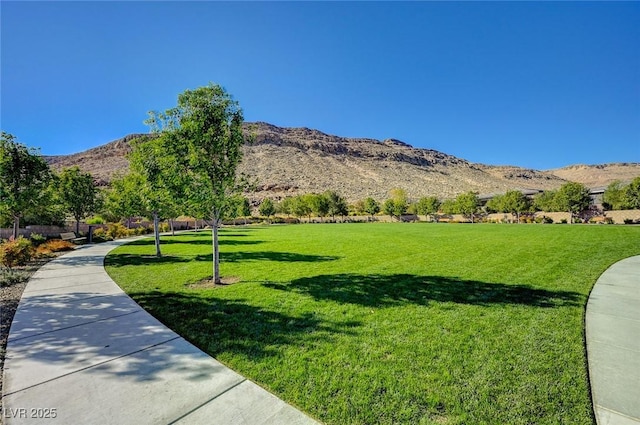 9667 Copal Rise Ave, Las Vegas, NV 89148 - photo 55