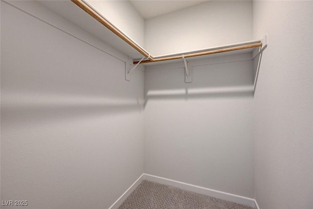 9667 Copal Rise Ave, Las Vegas, NV 89148 - photo 39