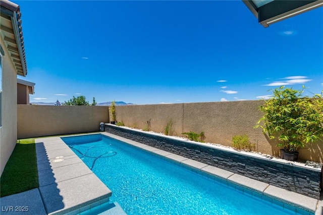 3244 Timorasso Ave, Henderson, NV 89044 - view of pool