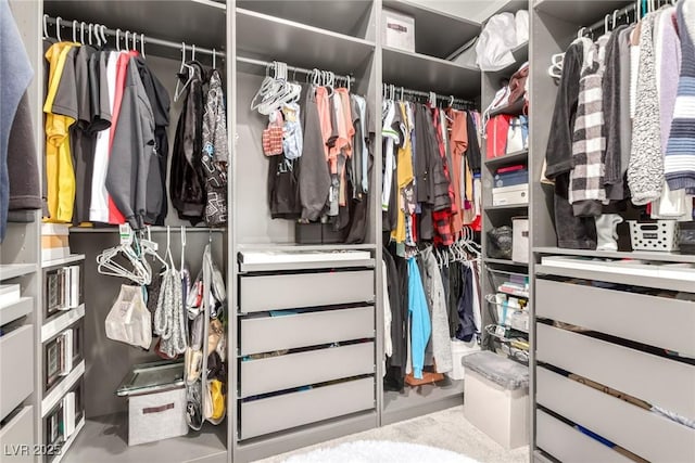 3244 Timorasso Ave, Henderson, NV 89044 - view of spacious closet