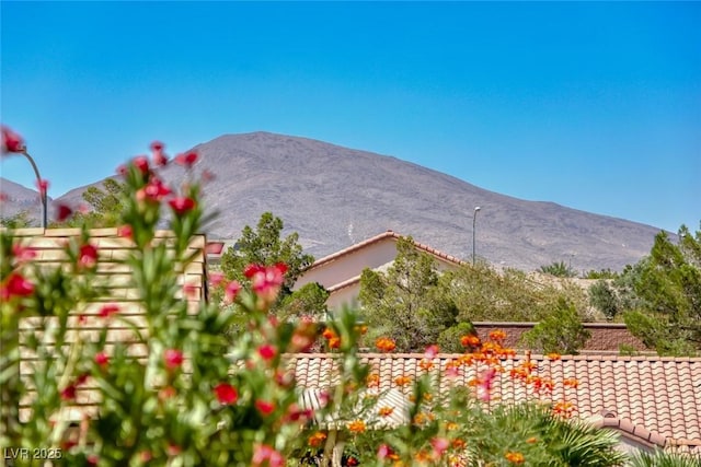 2343 Schaeffer Hills Dr, Henderson, NV 89052 - photo 39