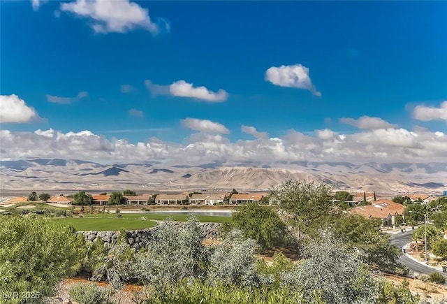 2343 Schaeffer Hills Dr, Henderson, NV 89052 - photo 50