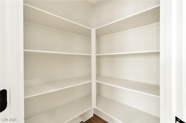 9349 Lakefront Color St, Las Vegas, NV 89178 - view of pantry