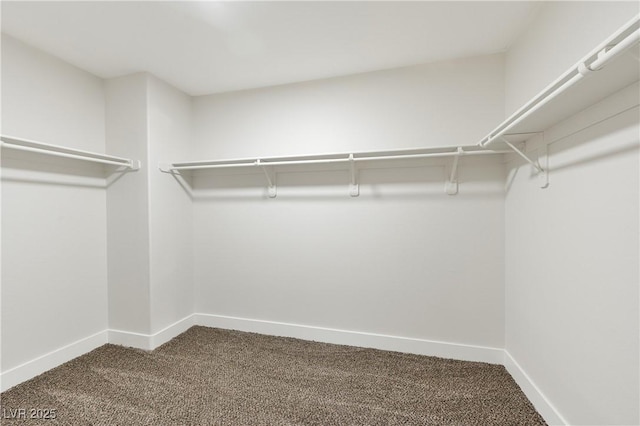 9349 Lakefront Color St, Las Vegas, NV 89178 - spacious closet with dark carpet