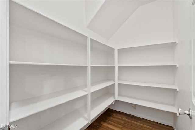 3613 Rubio Sun Ave, North Las Vegas, NV 89081 - view of storage area