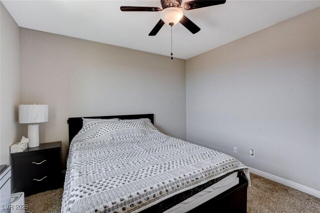 11036 Mount Hunter St, Las Vegas, NV 89179 - photo 29