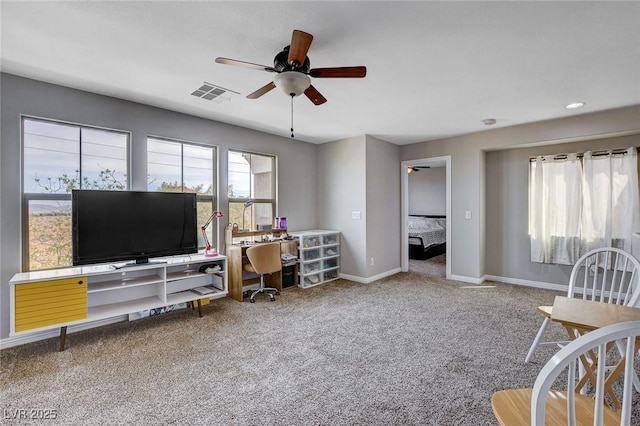 11036 Mount Hunter St, Las Vegas, NV 89179 - photo 27