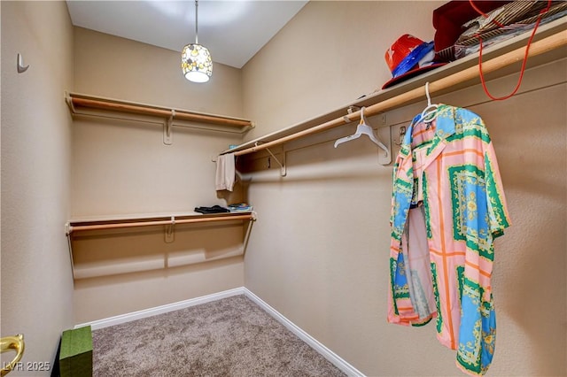 109 N Buteo Woods Ln, Las Vegas, NV 89144 - spacious closet featuring carpet