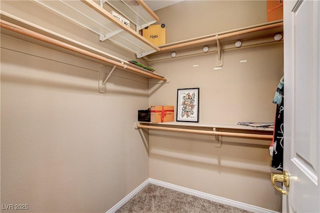 109 N Buteo Woods Ln, Las Vegas, NV 89144 - spacious closet featuring carpet floors