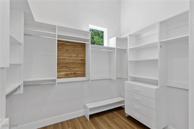 1613 Iron Ridge Dr, Las Vegas, NV 89117 - spacious closet with wood finished floors