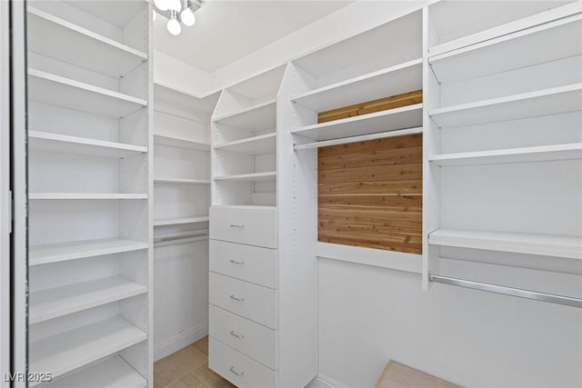 1613 Iron Ridge Dr, Las Vegas, NV 89117 - view of walk in closet