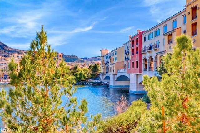 70 Portezza Dr, Henderson, NV 89011 - photo 67