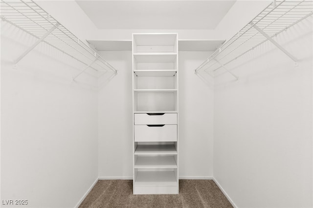 5710 E Tropicana Ave Unit 1035, Las Vegas, NV 89122 - walk in closet featuring carpet floors