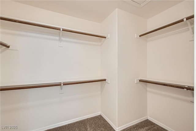 3308 Morning Wind Ln, Las Vegas, NV 89129 - walk in closet featuring carpet floors