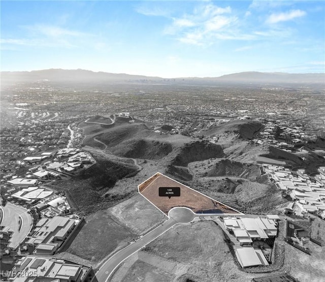 673 Dragon Point Dr, Henderson, NV 89012 - photo 20