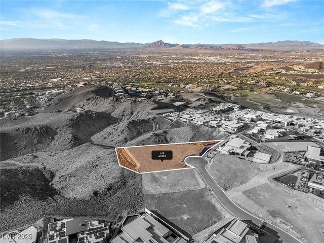 673 Dragon Point Dr, Henderson, NV 89012 - photo 21