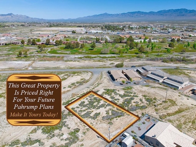 1381 S Saddle Ct, Pahrump, NV 89048
