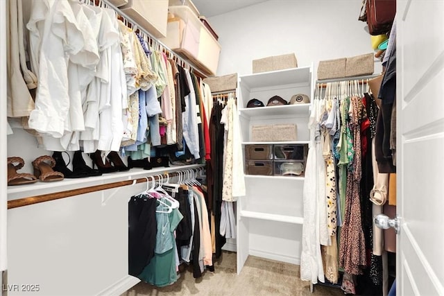 9835 Mojave Mountain St, Las Vegas, NV 89166 - view of walk in closet