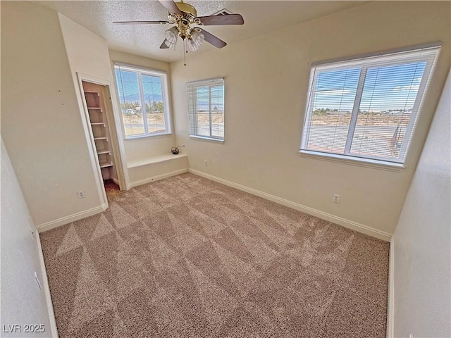 1771 Labrador St, Pahrump, NV 89048 - photo 47