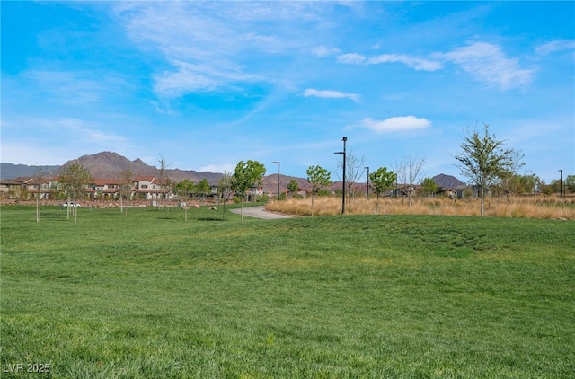 730 Last Dance Pl, Henderson, NV 89011 - photo 34