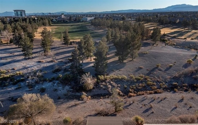 3109 Frigate Way N, Las Vegas, NV 89084 - view of mountain background