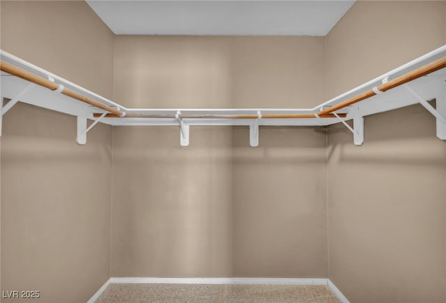 8557 Hidden Pines Ave, Las Vegas, NV 89143 - walk in closet featuring carpet