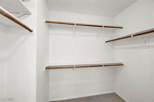 6373 Beavertail Pond Ave, Las Vegas, NV 89122 - walk in closet featuring carpet