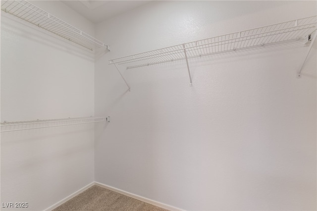 8904 Marble Dr, Las Vegas, NV 89134 - walk in closet with light colored carpet